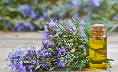 Take the Daily Wellness & Spirituality Quiz for Mindfulness and Holistic Growth